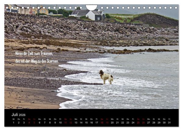 Produktbild: Irland - Irische Segensw&uuml;nsche (Wandkalender 2026 DIN A4 quer), CALVENDO Monatskalender