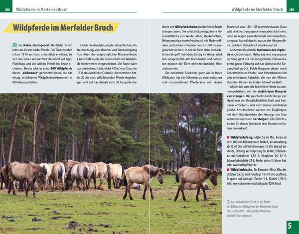 Produktbild: Reise Know-How Reiseführer Münsterland