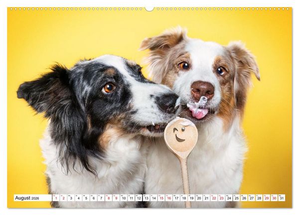 Produktbild: Hunde im Naschparadies (hochwertiger Premium Wandkalender 2026 DIN A2 quer), Kunstdruck in Hochglanz
