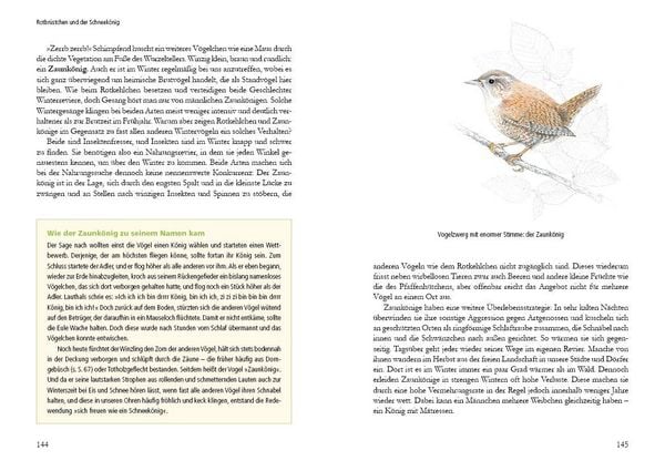 Produktbild: Vogelstimmen in Wald und Hecke