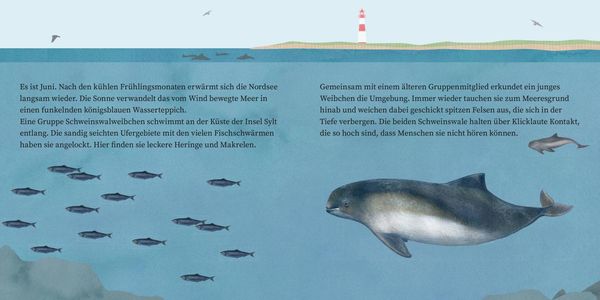 Produktbild: LESEMAUS 135: Der kleine Wal und das Meer
