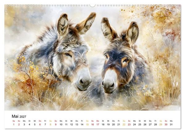 Produktbild: Esel - Wenn Ruhe ein Gesicht h&auml;tte (hochwertiger Premium Wandkalender 2027 DIN A2 quer), Kunstdruck in Hochglanz