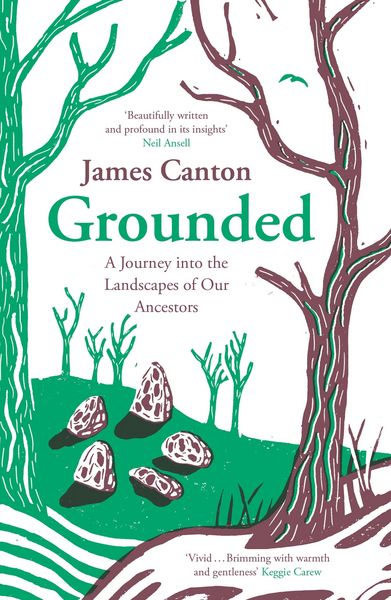 Produktbild: Grounded