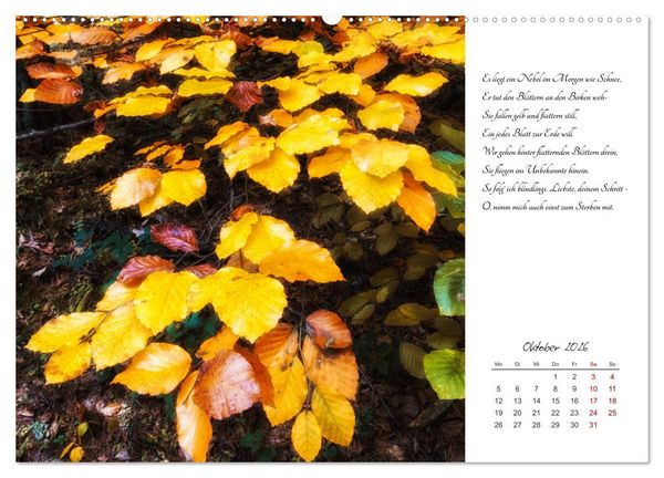 Produktbild: Max Dauthendey - Mit der Natur durchs Jahr (Wandkalender 2026 DIN A2 quer), CALVENDO Monatskalender