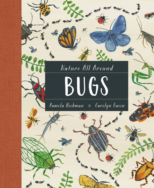 Produktbild: Nature All Around: Bugs