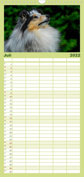 Produktbild: Sheltie 2022 - Familienplaner hoch (Wandkalender 2022 , 21 cm x 45 cm, hoch)