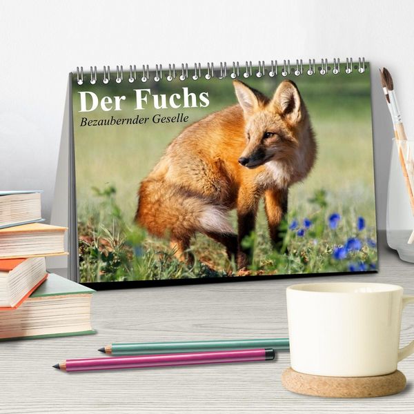 Produktbild: Der Fuchs. Bezaubernder Geselle (Tischkalender 2026 DIN A5 quer), CALVENDO Monatskalender