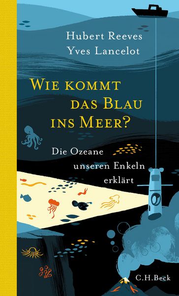 Produktbild: Wie kommt das Blau ins Meer?