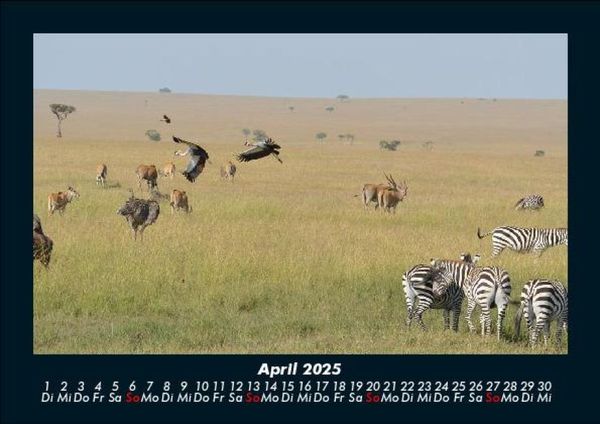 Produktbild: Welt der Tiere 2025 Fotokalender DIN A5