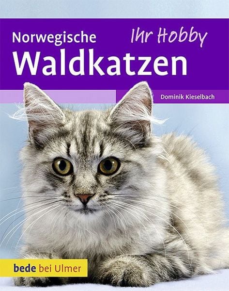 Produktbild: Norwegische Waldkatzen