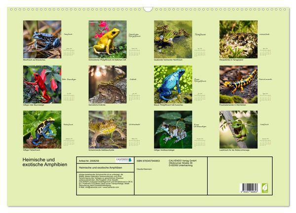 Produktbild: Heimische und exotische Amphibien (Wandkalender 2026 DIN A2 quer), CALVENDO Monatskalender