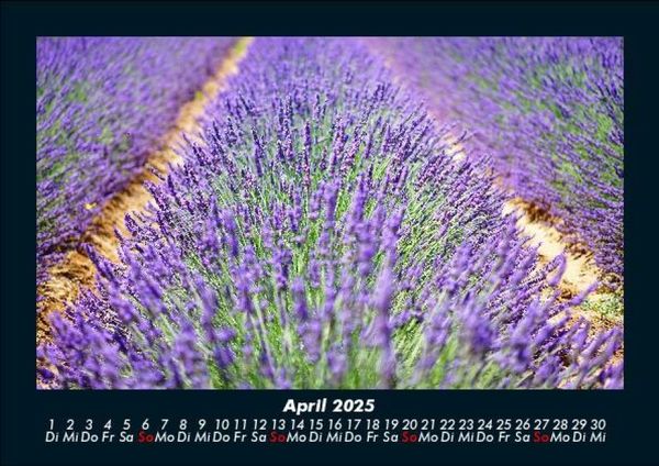 Produktbild: Blumentr&auml;ume 2025 Fotokalender DIN A5
