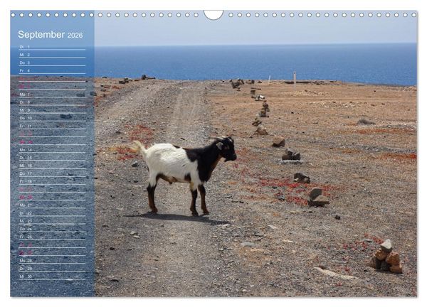 Produktbild: Fuerteventura in Ruhe (Wandkalender 2026 DIN A3 quer), CALVENDO Monatskalender