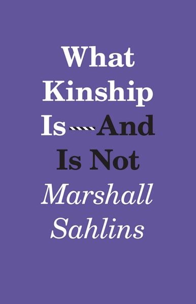 Produktbild: What Kinship Is-And Is Not