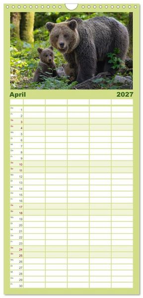 Produktbild: Familienplaner 2027 - Lautlos in den W&auml;ldern Sloweniens mit 5 Spalten (Wandkalender, 21 x 45 cm) CALVENDO