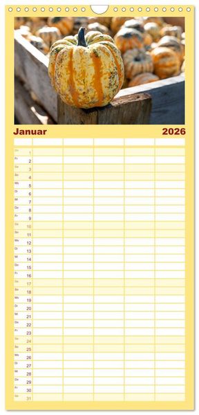 Produktbild: Familienplaner 2026 - K&Uuml;RBIS KALENDER - Die sch&ouml;nsten K&uuml;rbisse des Jahres mit 5 Spalten (Wandkalender, 21 x 45 cm) CALVENDO