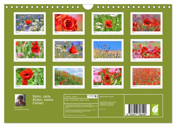 Produktbild: Mohn, zarte Bl&uuml;ten, starke Farben (Wandkalender 2026 DIN A4 quer), CALVENDO Monatskalender