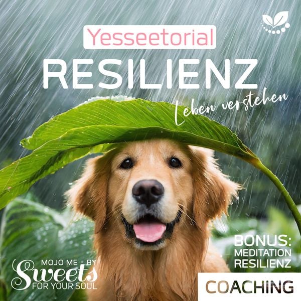 Resilienz, die 7 Säulen der mentalen Stärke, mit Selbsttest im Hörbuch zur Stärkung deiner inneren Widerstandskraft