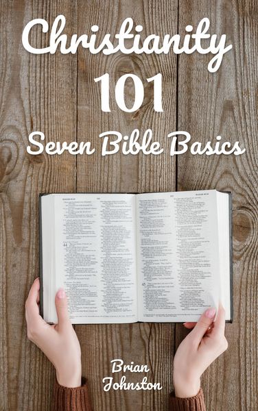 Produktbild: Christianity 101: Seven Bible Basics (Search For Truth Bible Series)