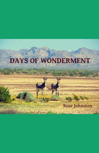 Produktbild: Days of Wonderment