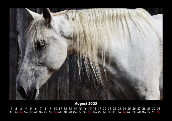 Produktbild: Pferde Kalender 2025 Fotokalender DIN A3