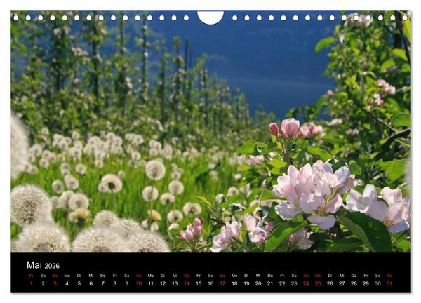 Produktbild: Norwegen 2026 (Wandkalender 2026 DIN A4 quer), CALVENDO Monatskalender