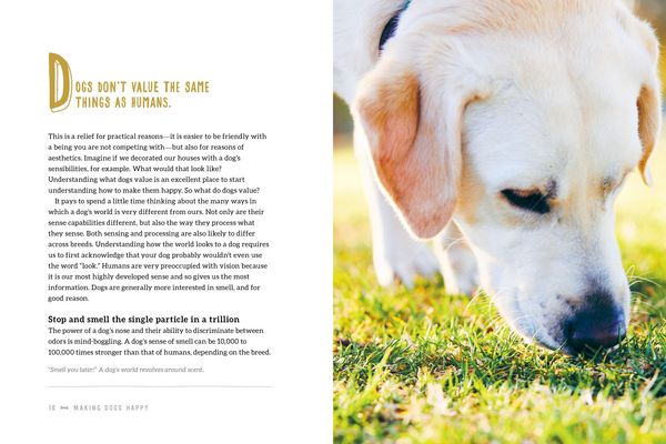 Produktbild: Making Dogs Happy