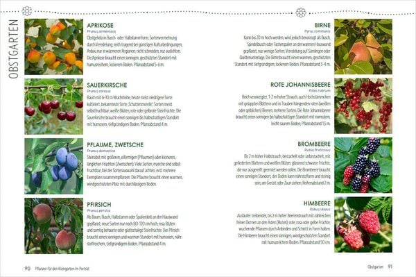 Produktbild: Mein Jahr im Kleingarten. Schrebergarten f&uuml;r Anf&auml;nger