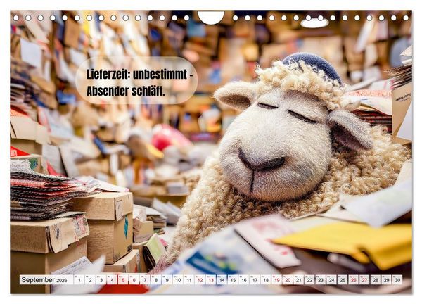 Produktbild: Schlaf gut, mein Schaf - Spruchkalender mit lustigen Schaf-Bildern (Wandkalender 2026 DIN A4 quer), CALVENDO Monatskalender