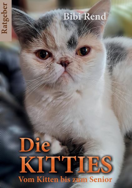Produktbild: Die Kitties