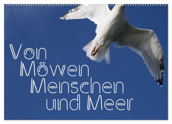 Von Möwen, Menschen und Meer (Wandkalender 2026 DIN A2 quer), CALVENDO Monatskalender