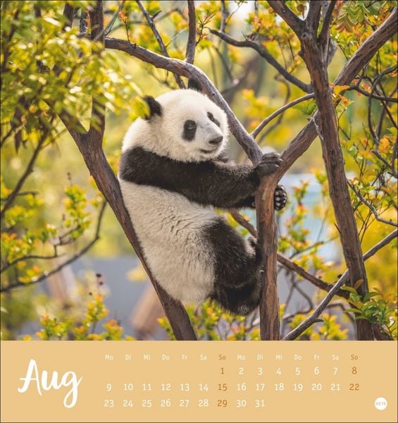 Produktbild: B&auml;renstark Postkartenkalender 2027