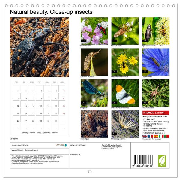 Produktbild: Natural beauty. Close-up insects (Wall Calendar 2026 12 &times; 12 Inch) CALVENDO 12 Month Wall Calendar