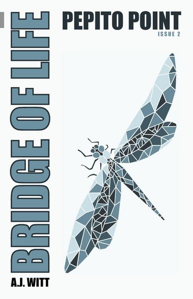 Produktbild: Bridge of Life