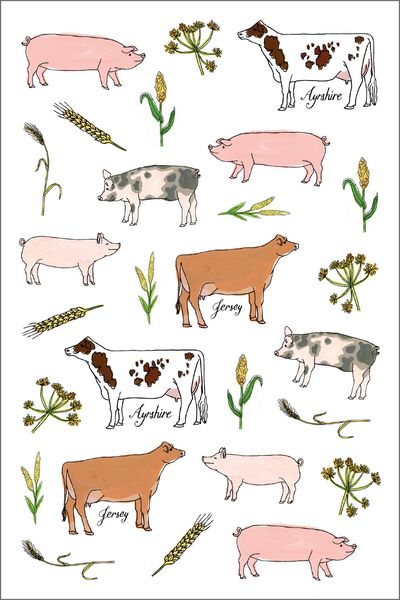Produktbild: Farm Anatomy Sticker Book