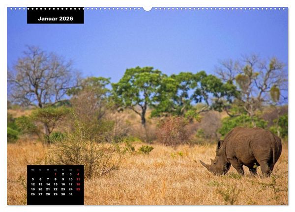 Produktbild: Blickpunkte des S&uuml;dlichen Afrika (Wandkalender 2026 DIN A2 quer), CALVENDO Monatskalender