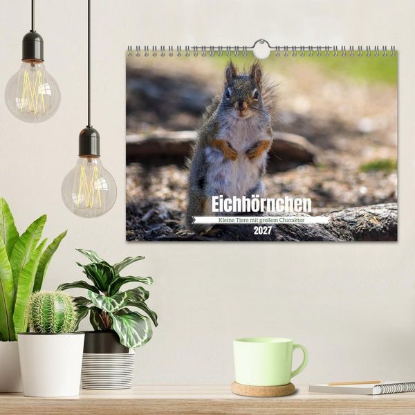 Produktbild: Eichh&ouml;rnchen - Kleine Tiere mit gro&szlig;em Charakter (Wandkalender 2027 DIN A4 quer), CALVENDO Monatskalender