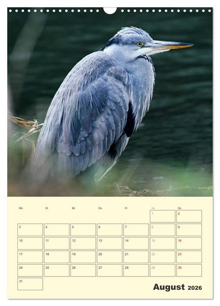 Produktbild: Vogelwelt an der Sieg (Wandkalender 2026 DIN A3 hoch), CALVENDO Monatskalender