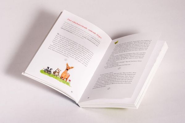 Produktbild: Drachenboot & Donnerkeil