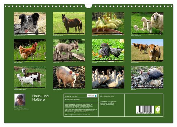 Produktbild: Haus- und Hoftiere (Wandkalender 2026 DIN A3 quer), CALVENDO Monatskalender