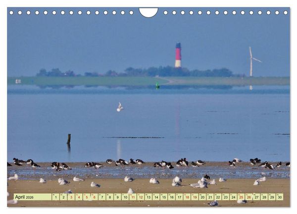 Produktbild: Sonne, Sand und Meer. Farben der K&uuml;ste (Wandkalender 2026 DIN A4 quer), CALVENDO Monatskalender