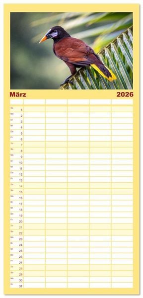 Produktbild: Familienplaner 2026 - Phantastische Vogelwelt Costa Rica mit 5 Spalten (Wandkalender, 21 x 45 cm) CALVENDO