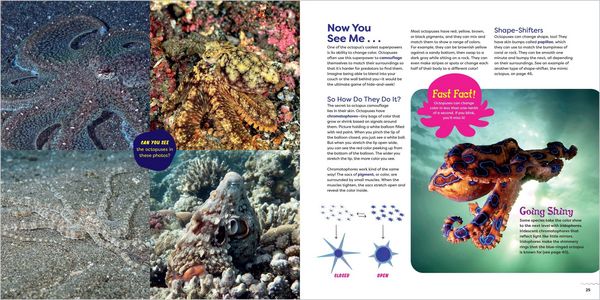 Produktbild: The Incredible Octopus