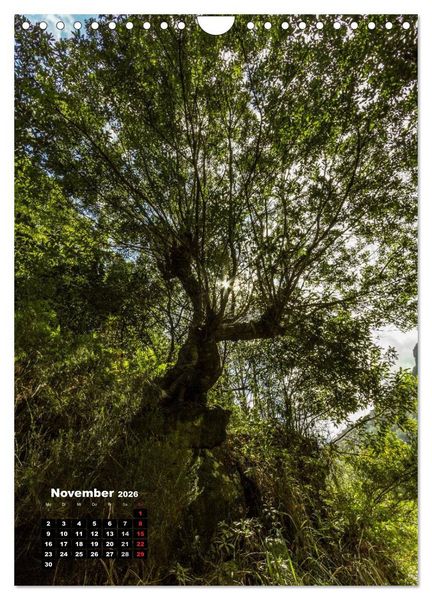 Produktbild: Levadas - Wasserwege auf Madeira (Wandkalender 2026 DIN A4 hoch), CALVENDO Monatskalender