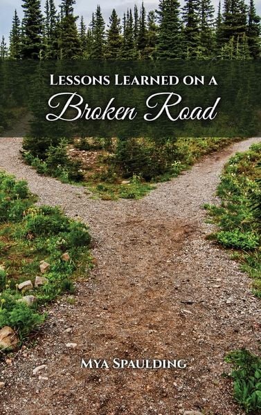 Produktbild: Lessons Learned on a Broken Road