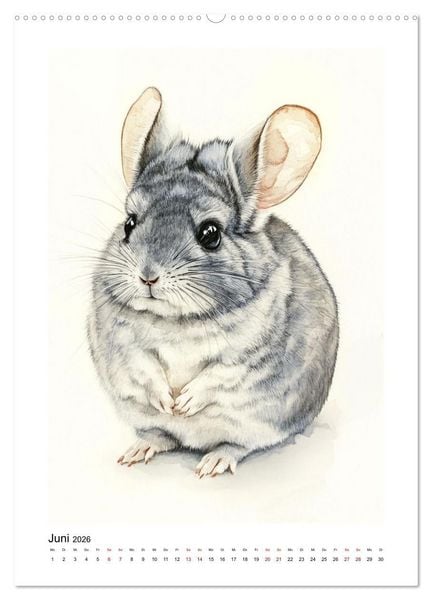 Produktbild: Waurick, K: Knuddlige Chinchillas (hochwertiger Premium Wand