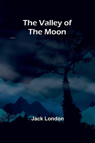Produktbild: The Valley of the Moon