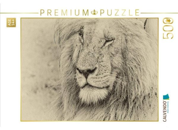 CALVENDO Puzzle Safari - auf Katzensuche | 500 Teile Lege-Größe 48 × 36 cm Foto-Puzzle für Erwachsene