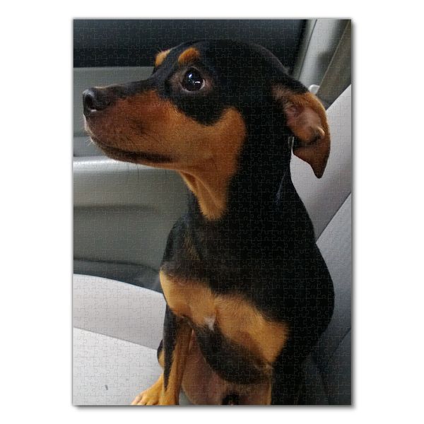 Produktbild: Lais Puzzle Pinscher 1000 Teile