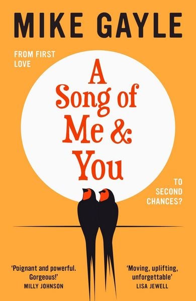 Produktbild: A Song of Me and You